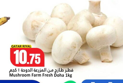 available at دانة هايبرماركت in قطر - أم صلال