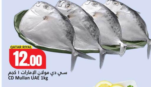 available at دانة هايبرماركت in قطر - أم صلال