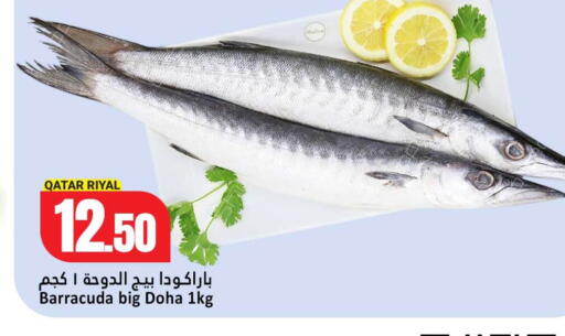 available at دانة هايبرماركت in قطر - أم صلال