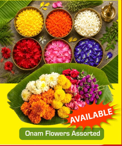available at Hyper Al Wafa in KSA, Saudi Arabia, Saudi - Riyadh
