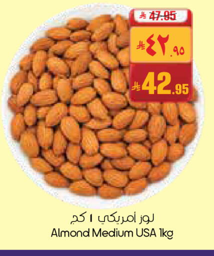 available at ستي فلاور in مملكة العربية السعودية, السعودية, سعودية - نجران