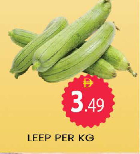 available at المدينة in الإمارات العربية المتحدة , الامارات - دبي