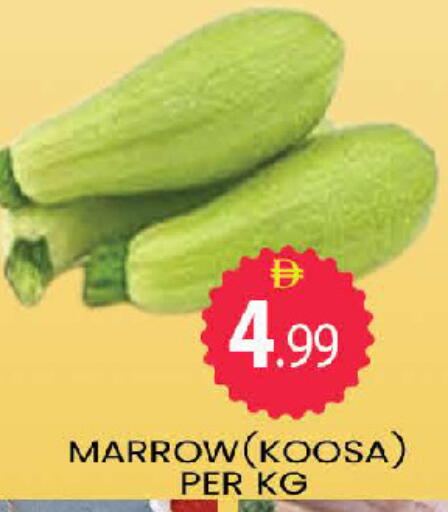 available at المدينة in الإمارات العربية المتحدة , الامارات - دبي