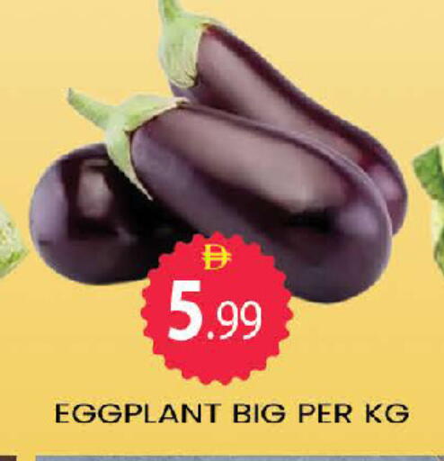 available at المدينة in الإمارات العربية المتحدة , الامارات - دبي