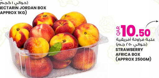 available at أنصار جاليري in قطر - الخور