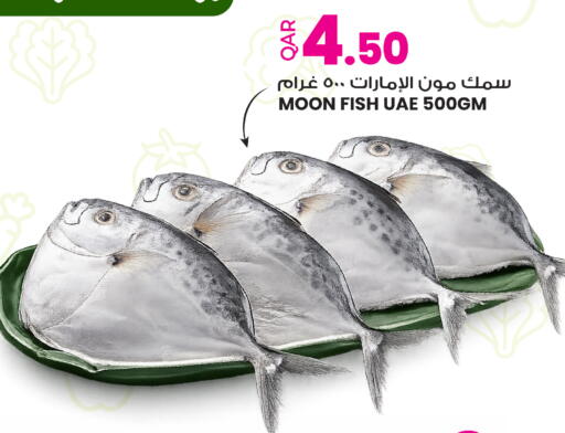 available at أنصار جاليري in قطر - الوكرة