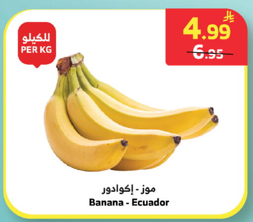 Banana from Ecuador available at الراية in مملكة العربية السعودية, السعودية, سعودية - خميس مشيط