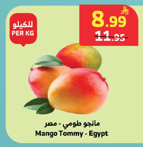 Mango from Egypt available at الراية in مملكة العربية السعودية, السعودية, سعودية - خميس مشيط