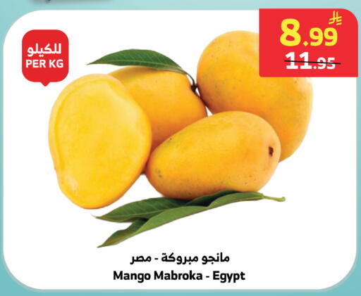 Mango from Egypt available at الراية in مملكة العربية السعودية, السعودية, سعودية - خميس مشيط