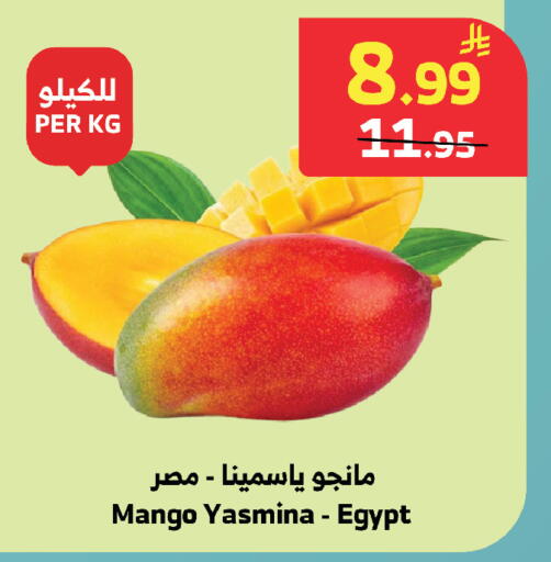 Mango from Egypt available at الراية in مملكة العربية السعودية, السعودية, سعودية - خميس مشيط