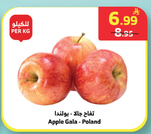 Apple from Poland available at الراية in مملكة العربية السعودية, السعودية, سعودية - خميس مشيط