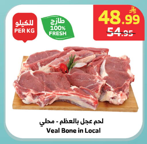 available at الراية in مملكة العربية السعودية, السعودية, سعودية - تبوك