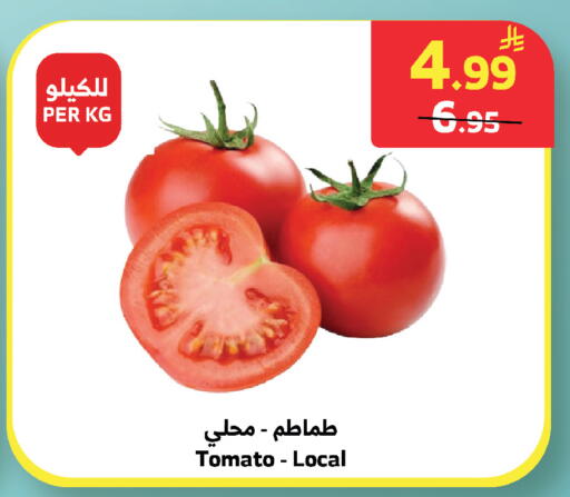 Tomato available at الراية in مملكة العربية السعودية, السعودية, سعودية - خميس مشيط