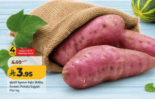Sweet Potato from Egypt available at لولو هايبرماركت in مملكة العربية السعودية, السعودية, سعودية - الخرج