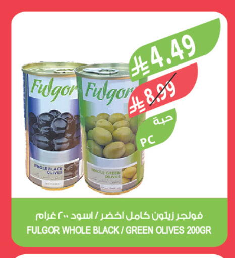available at المزرعة in مملكة العربية السعودية, السعودية, سعودية - تبوك