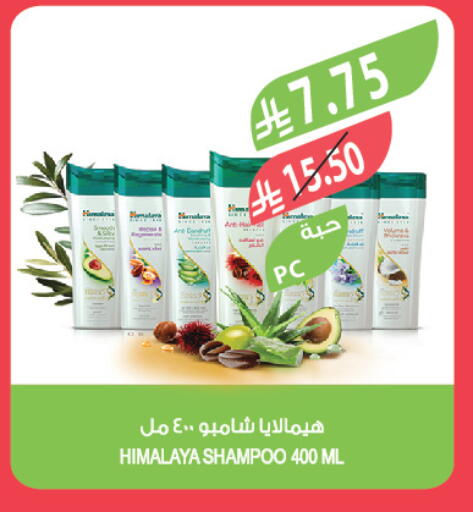 available at المزرعة in مملكة العربية السعودية, السعودية, سعودية - تبوك