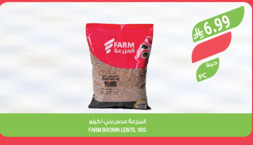 available at المزرعة in مملكة العربية السعودية, السعودية, سعودية - تبوك