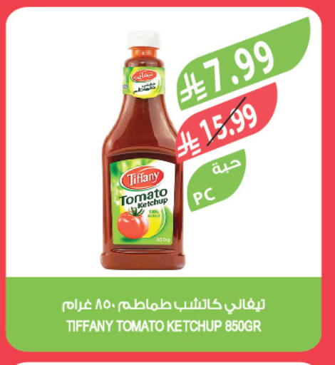 Tomato available at المزرعة in مملكة العربية السعودية, السعودية, سعودية - تبوك