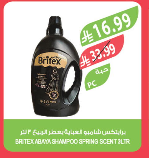 available at المزرعة in مملكة العربية السعودية, السعودية, سعودية - تبوك