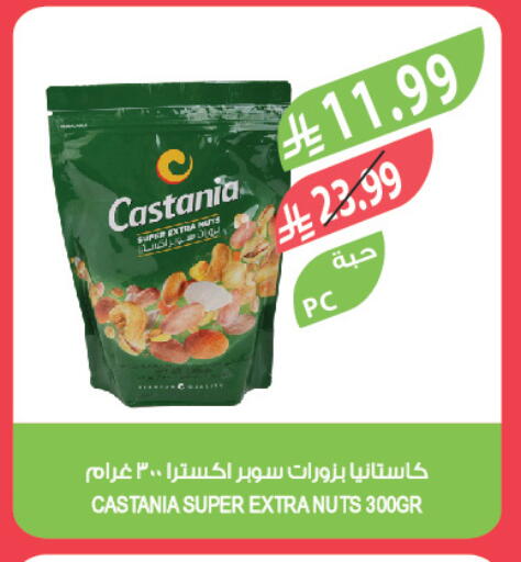 available at المزرعة in مملكة العربية السعودية, السعودية, سعودية - تبوك
