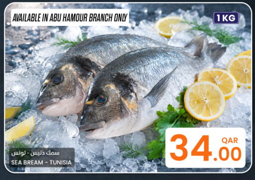 available at البلدي اليوم in قطر - الوكرة