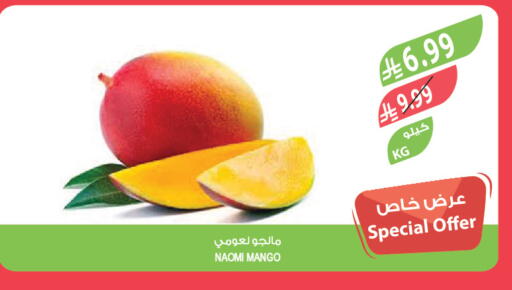 Mango available at المزرعة in مملكة العربية السعودية, السعودية, سعودية - تبوك