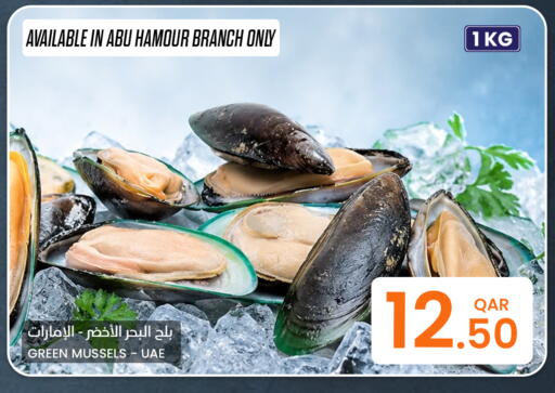 available at البلدي اليوم in قطر - الشحانية