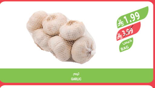 Garlic available at المزرعة in مملكة العربية السعودية, السعودية, سعودية - تبوك