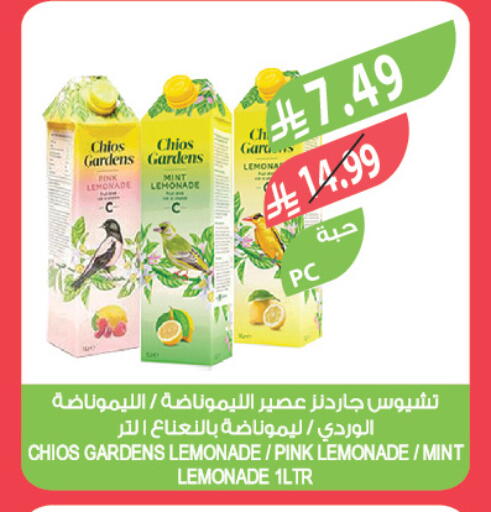 Mint available at Farm  in KSA, Saudi Arabia, Saudi - Tabuk