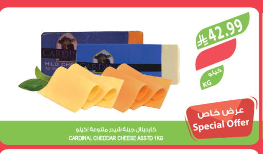 available at المزرعة in مملكة العربية السعودية, السعودية, سعودية - تبوك