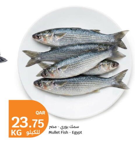 available at City Hypermarket in Qatar - Al Wakra