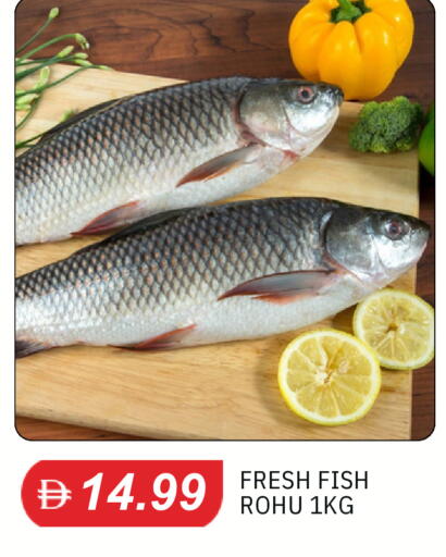 available at TALAL MARKET in UAE - Dubai