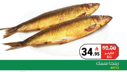 available at House Care in KSA, Saudi Arabia, Saudi - Mecca
