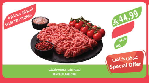 available at المزرعة in مملكة العربية السعودية, السعودية, سعودية - الخبر‎