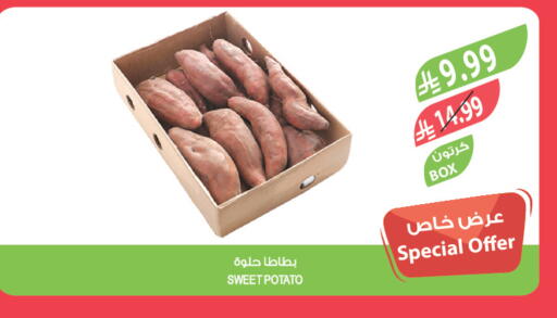 Sweet Potato available at المزرعة in مملكة العربية السعودية, السعودية, سعودية - الخبر‎