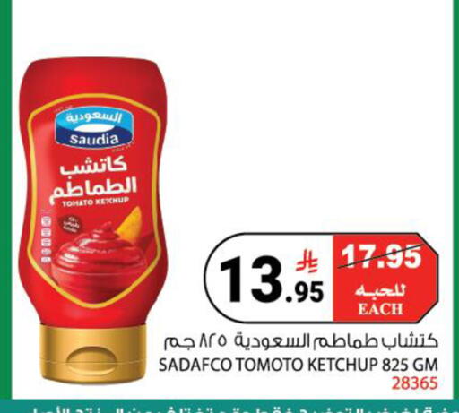 Tomato available at هاوس كير in مملكة العربية السعودية, السعودية, سعودية - مكة المكرمة