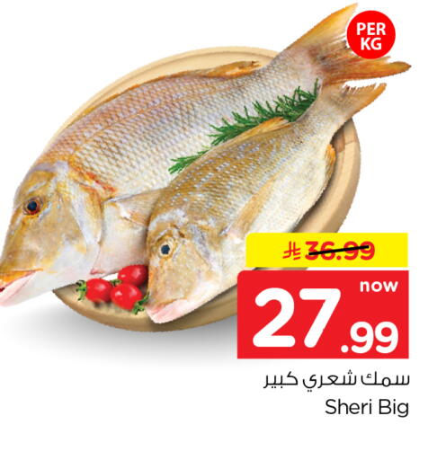 available at هايبر الوفاء in مملكة العربية السعودية, السعودية, سعودية - الخرج