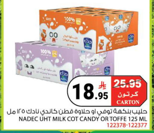available at House Care in KSA, Saudi Arabia, Saudi - Mecca