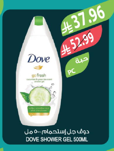 available at المزرعة in مملكة العربية السعودية, السعودية, سعودية - الخبر‎
