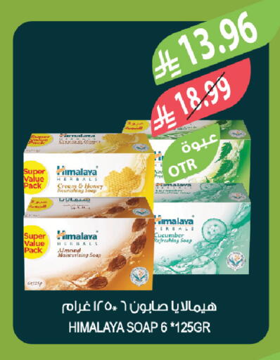 Cucumber available at المزرعة in مملكة العربية السعودية, السعودية, سعودية - الخبر‎