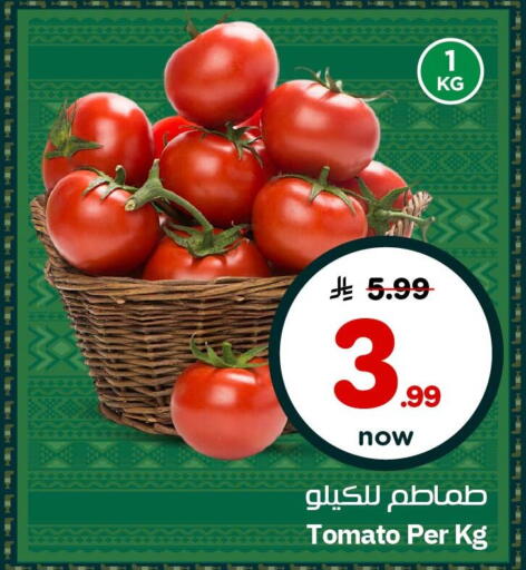 Tomato available at نستو in مملكة العربية السعودية, السعودية, سعودية - الخبر‎