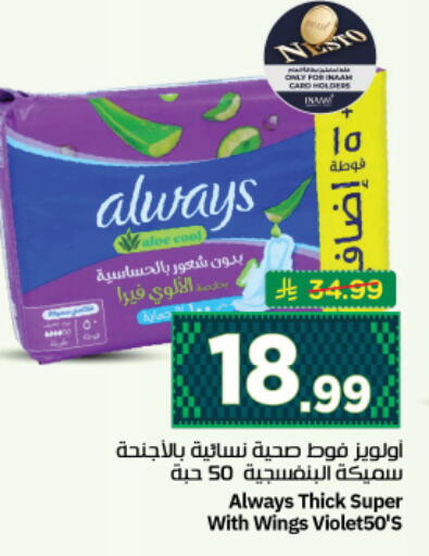 available at نستو in مملكة العربية السعودية, السعودية, سعودية - المجمعة