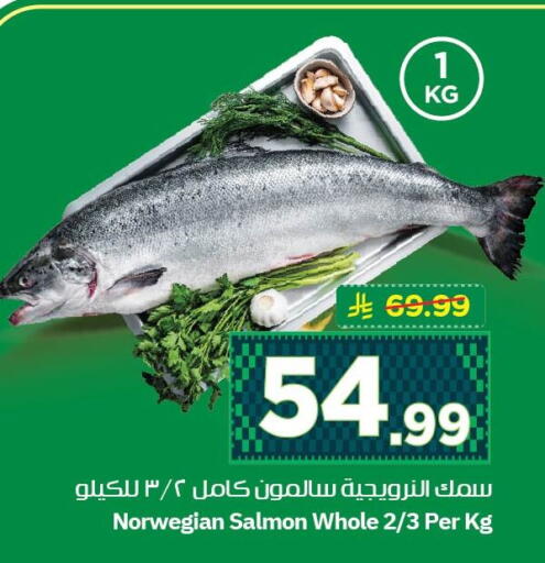 available at نستو in مملكة العربية السعودية, السعودية, سعودية - الخبر‎