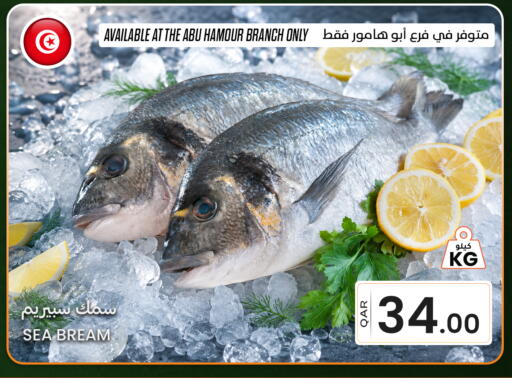 available at البلدي اليوم in قطر - الوكرة
