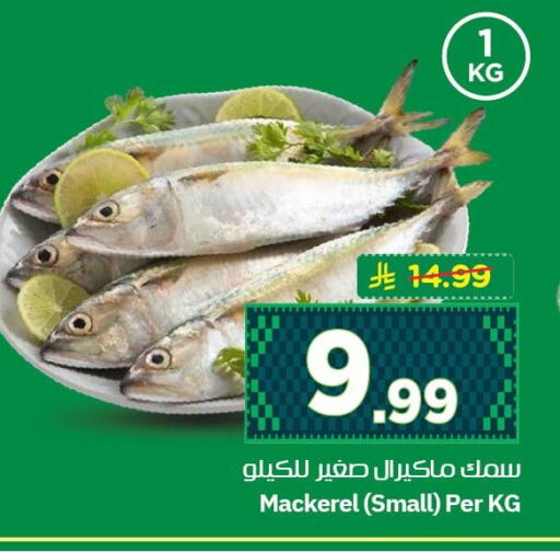 available at نستو in مملكة العربية السعودية, السعودية, سعودية - الخبر‎