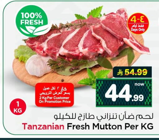 available at نستو in مملكة العربية السعودية, السعودية, سعودية - الخبر‎