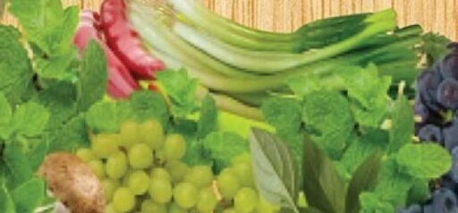 available at أسواق رامز in قطر - أم صلال