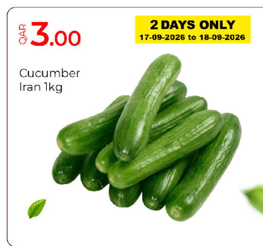 Cucumber from Iran available at جي-ماكس هايبرماركت in قطر - الدوحة