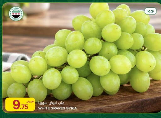 Grapes from Syria available at شركة الميرة للمواد الاستهلاكية in قطر - الوكرة