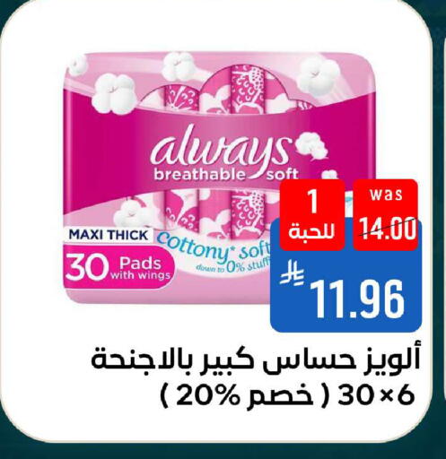 available at شبرا الطائف in مملكة العربية السعودية, السعودية, سعودية - الطائف